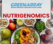 Greenarray Laboratory  3