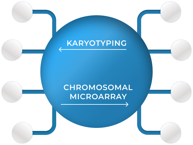 Chromosomal Analysis